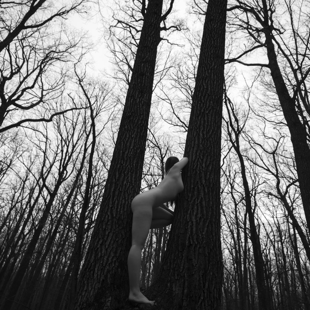 Fotografie fine art nude, model cu forme curvy sprijinita de un copac in padure. Toamna, copaci goi, alb-negru