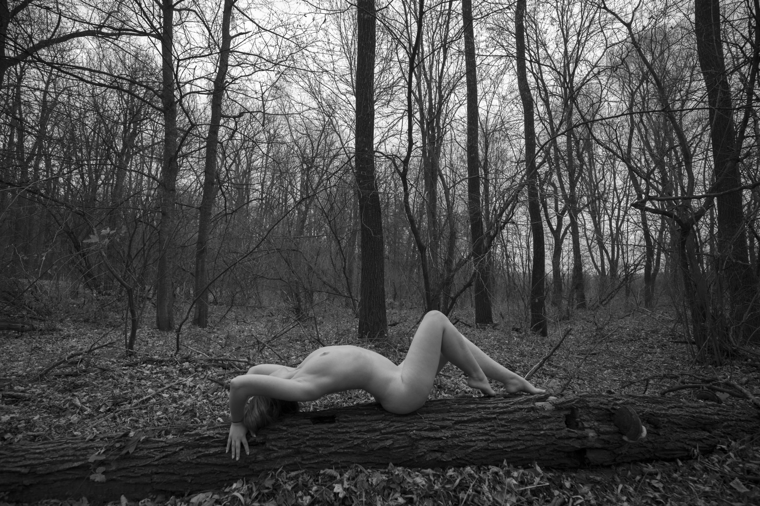 Portret nude artistic în natură, model curvy așezat pe un buștean în pădure, fotografie alb-negru cinematică de toamnă.